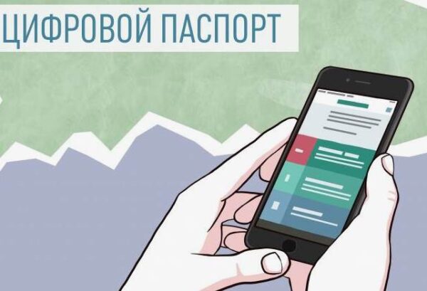 Цифровой паспорт: почему номер телефона важнее прописки