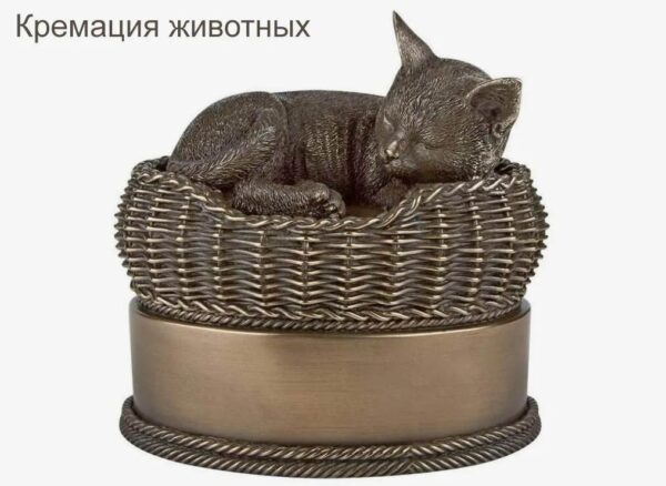 Кремация кошек